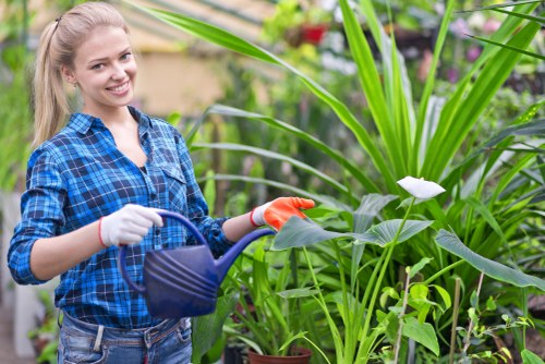 A young woman with light brown hair tied back, smiling while watering a lush, green garden with a dark blue watering can. She is wearing a blue checkered shirt, white gloves, and red gardening gloves on her hands. The garden features a variety of tall plants with long, narrow leaves, some flowering plants with white blooms, and dense foliage, indicating a healthy, well-maintained outdoor space. The background shows additional plants, potted greenery, and glimpses of an outdoor garden environment, suggesting a residential garden or nursery setting in Covent Garden. The scene is lit with natural daylight, highlighting the vibrant green plant textures and natural tones of the garden, supporting landscaping and gardening services offered by Landscapers Covent Garden.