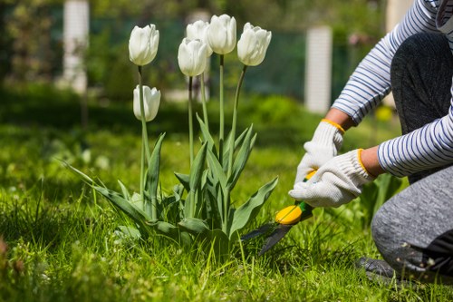 Sustainable gardening practices in a Covent Garden garden