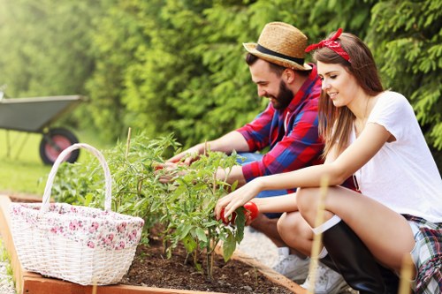 A landscaped garden area in a back yard features a wooden raised garden bed filled with various green vegetable plants, with two gardeners working together—one man wearing a straw hat and a red plaid shirt, and a woman with a red bandana and white t-shirt—planting or tending to the crops. The garden bed is bordered by a paved pathway and is surrounded by lush green trees and shrubs, creating a natural and vibrant outdoor environment typical of London postcodes. In the foreground, a white wicker basket with a floral pattern sits on the edge of the garden bed, suggesting recent harvesting or gardening activity. The scene is set during daylight with bright, clear weather, highlighting the natural colours of the foliage, soil, and plants, reflecting a focus on sustainable gardening practices. This outdoor space demonstrates typical gardening and landscape maintenance, as performed by professionals like Landscapers Covent Garden, emphasizing garden cultivation, plant care, and eco-friendly sustainability approaches.