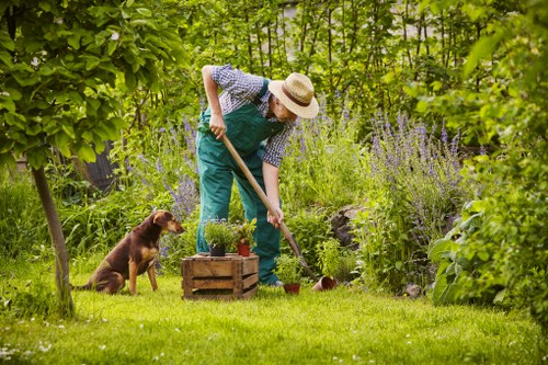 A person wearing a straw hat, glasses, and a green apron over a checked shirt is tending to a garden with a small spade, surrounded by lush green plants, shrubs, and tall purple flowering plants. The garden features a well-maintained lawn with vibrant green grass, bordered by a variety of leafy hedges and trees. There is a small wooden planter box with potted plants placed on the grass nearby. A brown dog sits attentively beside the gardener, observing the activity. The scene is set outdoors on a bright, mild day with natural sunlight filtering through the foliage, highlighting the healthy, diverse plant growth typical of a landscaped garden in Covent Garden or similar urban outdoor space, demonstrating professional gardening and landscaping care by Landscapers Covent Garden.