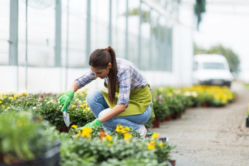 A woman wearing a plaid shirt, jeans, and green gardening gloves is kneeling on a paved pathway in a well-maintained garden, carefully tending to colorful flowering plants within a flower bed. The garden features lush green grass, neatly arranged flower borders with yellow, purple, and pink blooms, and a backdrop of glass greenhouse windows reflecting natural light. The scene appears to be during daylight hours with soft natural lighting, indicating weather conditions suitable for outdoor gardening. In the background, a parked vehicle is visible, suggesting the garden is in a residential or commercial outdoor space within Covent Garden or nearby. The overall environment is tidy and organized, with an emphasis on plant health and garden aesthetics, aligning with professional gardening and landscaping services offered by landscaperscoventgarden.co.uk across the central London area.