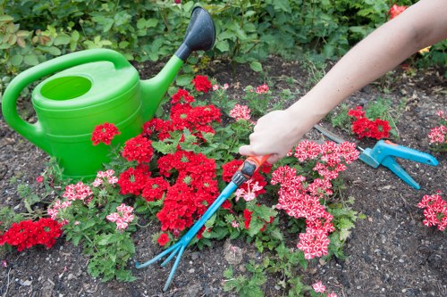 A garden scene featuring a flower bed with vibrant pink and red blossoms, bordered by dark, moist soil. On the left, there is a bright green plastic watering can with a long spout, placed among the flowers. To the right, a person’s hand is visible, holding a pair of blue-handled gardening shears, trimming or pruning the plants. In the background, dense green foliage and hedge lines create a lush, landscaped outdoor space typical of a residential garden in Covent Garden. The lighting suggests a clear day with natural sunlight illuminating the scene, highlighting the vivid colours and fresh appearance of the plants. This image represents gardening activities associated with outdoor maintenance and plant care in a typical London garden environment, relevant to services offered by Landscapers Covent Garden in the local area.