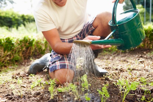 Local climate features influencing landscaping in Covent Garden