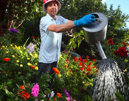 A male gardener wearing a light blue shirt, blue gloves, and a red hat is watering a vibrant flower garden with a black watering can. The garden features a variety of colorful flowers, including red, yellow, purple, and pink blooms, along with lush green foliage. The scene is outdoors in a well-maintained garden space with natural daylight, surrounded by trees and shrubs, with a mix of grass and soil visible at the base of the plants. The gardener appears to be tending to the plants, ensuring they receive adequate water for healthy growth, reflecting professional gardening and landscaping activities typical of outdoor maintenance in the Covent Garden area, with a focus on vibrant spring or summer garden care.