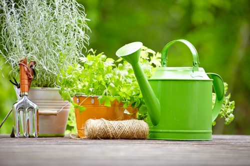 The image depicts a neatly arranged outdoor garden scene with a weathered wooden surface in the foreground, hosting various gardening tools and equipment. On the left, there is a pair of metallic garden hand tools, such as a hand fork and trowel, both with wooden handles. Adjacent to these tools, a terracotta pot contains a lush, leafy green plant with small, rounded leaves, while behind it, a larger beige ceramic pot holds a taller, silvery-green foliage plant. In the center, a coiled piece of natural twine rests on the wooden surface, ready for garden use. To the right, there is a bright green plastic watering can with a large handle and a long spout, positioned next to a small cluster of white flowering plants with delicate blossoms. The background reveals a vibrant, blurred garden environment with various shades of green foliage, suggesting a healthy, well-maintained outdoor space suitable for gardening and landscaping activities, typical of a Covent Garden residential garden or outdoor area in the UK.