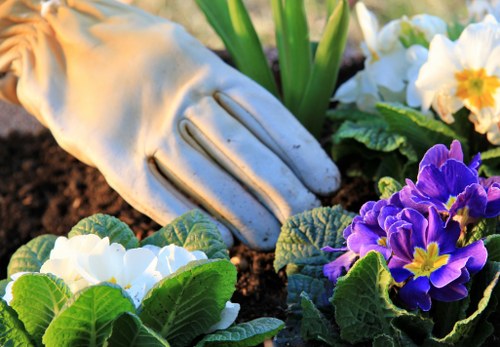 Professional landscaping maintenance in Covent Garden