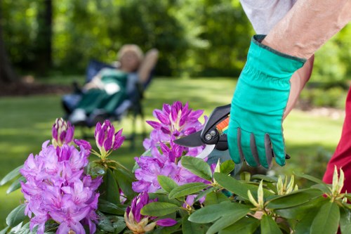 Sustainable landscaping solutions by Covent Garden Landscapers