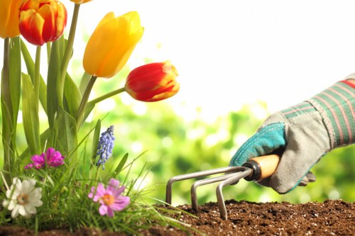 A close-up view of a gardener's gloved hand using a hand rake to loosen rich, dark soil in a garden bed that features a diverse array of blooming flowers and emerging plants, including yellow and red tulips, purple and white daisies, and small pink blossoms. The garden is set outdoors under bright, natural sunlight, with a blurred green backdrop of trees or shrubs, creating a vibrant and colourful scene that showcases the early stages of planting and garden maintenance typical of professional gardening services in Covent Garden and surrounding areas. The arrangement emphasizes healthy plant growth and well-prepared soil, contributing to a visually appealing and inviting outdoor space managed by Landscapers Covent Garden.