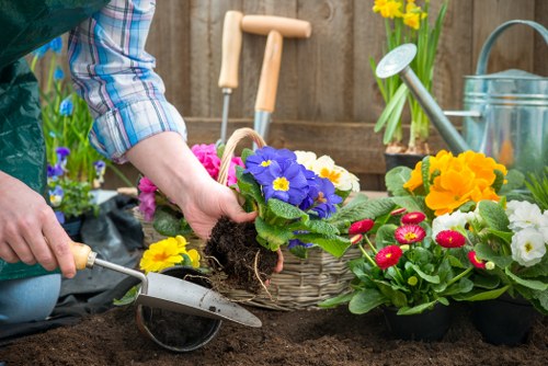A gardener's hands are shown planting a vibrant purple flowering plant into prepared dark soil within a flower bed. The garden features a variety of colorful blooms, including yellow, pink, and red flowers, arranged in clusters, with some in small black pots awaiting planting. In the background, there are gardening tools such as a watering can and a small hand rake, along with a watering can and a container with yellow daffodils on a wooden fence, indicating a well-maintained outdoor space. The scene suggests an active gardening session, likely taking place in a residential garden in Covent Garden or nearby, with natural daylight illuminating the scene. This setting exemplifies professional gardening services focused on flower bed creation and outdoor plant arrangements, highlighting the use of seasonal flowers and gardening tools typical of high-quality landscaping work in central London environments.