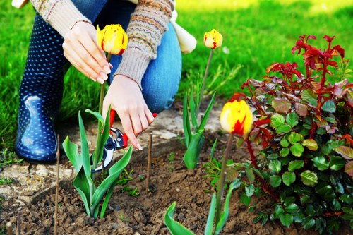 A person planting yellow and red tulips in a garden bed with freshly turned soil, situated in a lush outdoor space with vibrant green grass, a flowering shrub with reddish foliage, and a paved path nearby. The garden features a well-maintained lawn, bordered by flower beds and plants, with natural daylight illuminating the scene. The setting appears to be part of a landscaped front or back garden in Covent Garden, suitable for garden maintenance and planting services provided by Landscapers Covent Garden.