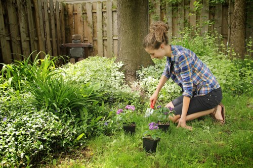 A young woman kneeling on a well-maintained grassy lawn in a garden with a wooden fence in the background. She is planting small purple-flowered plants into the soil, using her right hand to carefully place them in individual black nursery pots. The garden features a variety of green plants, including lush shrubs, leafy plants, and a dense hedge along the fence. Large trees provide shade, with one tree trunk visible behind her. The scene suggests a peaceful outdoor space suitable for gardening and landscaping activities in Covent Garden, with natural tones of green, purple, and brown complemented by the weathered wood fencing and soft sunlight filtering through the tree leaves. This image reflects typical gardening care, involving planting and cultivating a landscaped garden area.