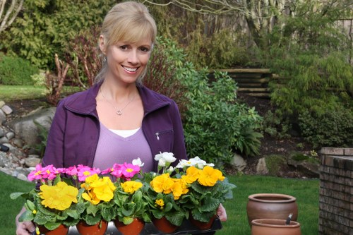 Affordable garden clearance services in Covent Garden