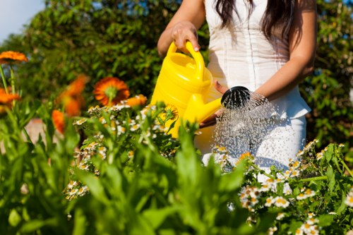 A woman watering flower beds in a well-maintained garden with a yellow watering can, surrounded by vibrant orange and white flowers, lush green shrubs, and a neatly trimmed lawn. The garden features a mix of blooming flower beds and leafy plants, with a visible paved pathway in the background. Bright sunlight illuminates the scene, emphasizing the natural tones of the plants and the outdoor environment typical of a landscaped garden in Covent Garden. The setting suggests a peaceful outdoor space maintained by professional gardening services from Landscapers Covent Garden, emphasizing their expertise in garden care and landscaping. The image captures the outdoor garden in good condition, with healthy plants and a tidy landscape layout, designed for aesthetic appeal and functional outdoor leisure.