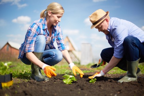 In a residential garden setting in Covent Garden, two individuals are engaged in planting activities on a sunny day. The woman with blonde hair tied back, wearing a blue checkered shirt, jeans, and orange gardening gloves, is carefully planting a small leafy green plant into rich, dark soil within a garden bed. The man, dressed in a light blue shirt, navy trousers, and a wide-brimmed straw hat, also in gardening gloves, is assisting by positioning another young plant. The garden features a lush, green lawn in the foreground, bordered by the flower bed containing recently planted greenery. In the background, there are trees and a clear blue sky with scattered clouds, indicating pleasant weather. The scene captures outdoor maintenance and gardening work typical for enhancing residential landscaped yards, which local gardening and landscaping specialists like Landscapers Covent Garden frequently undertake to improve outdoor spaces.
