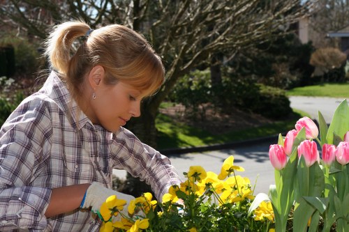 A woman with blonde hair tied back in a ponytail, wearing a plaid shirt and gardening gloves, is carefully tending to a flower bed in an outdoor garden. The garden features a variety of vibrant yellow and pink flowers, including tulips and other blooming plants, which are arranged alongside lush green foliage. Behind her, there are mature trees with bare branches, suggesting early spring, and a paved pathway that runs through the landscaped yard. The garden area has well-maintained grass in the foreground, with the soil of the flower beds appearing healthy and mulched. The background shows a sunny day with natural lighting illuminating the scene, highlighting the textured wooden decking nearby, and creating a peaceful, well-kept outdoor space typical of residential gardens in Covent Garden. This image exemplifies gardening activities suitable for professional landscaping services by Landscapers Covent Garden, specializing in garden design, planting, and outdoor maintenance in the local area.