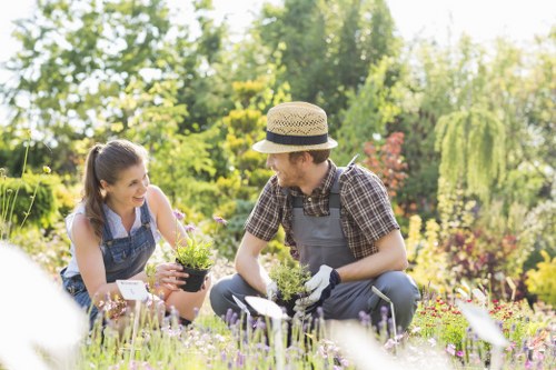 Seasonal garden care in Covent Garden climate