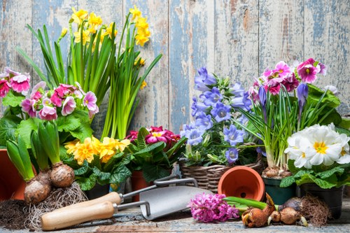 The image displays a collection of vibrant spring-flowering plants in various pots arranged on a rustic wooden surface. Prominent among these are clusters of yellow daffodils, pink primulas, and purple and white primroses, all with lush green foliage. Some plants are planted directly in soil, while others are in decorative wicker baskets or terracotta pots. Gardening tools, including a trowel with a wooden handle and a small watering can, are placed among the plants, indicating ongoing garden maintenance. The background features weathered wooden panels that add a rustic charm, contrasting with the bright colors of the flowers. The overall scene suggests a well-tended, cheerful outdoor garden space in preparation for or during early spring. This arrangement aligns with gardening and landscaping services provided by Landscapers Covent Garden, with a focus on enhancing outdoor environments in the Covent Garden area, possibly within central London. Weather conditions appear clear and bright, highlighting the natural, lively tones of the plants and garden tools.